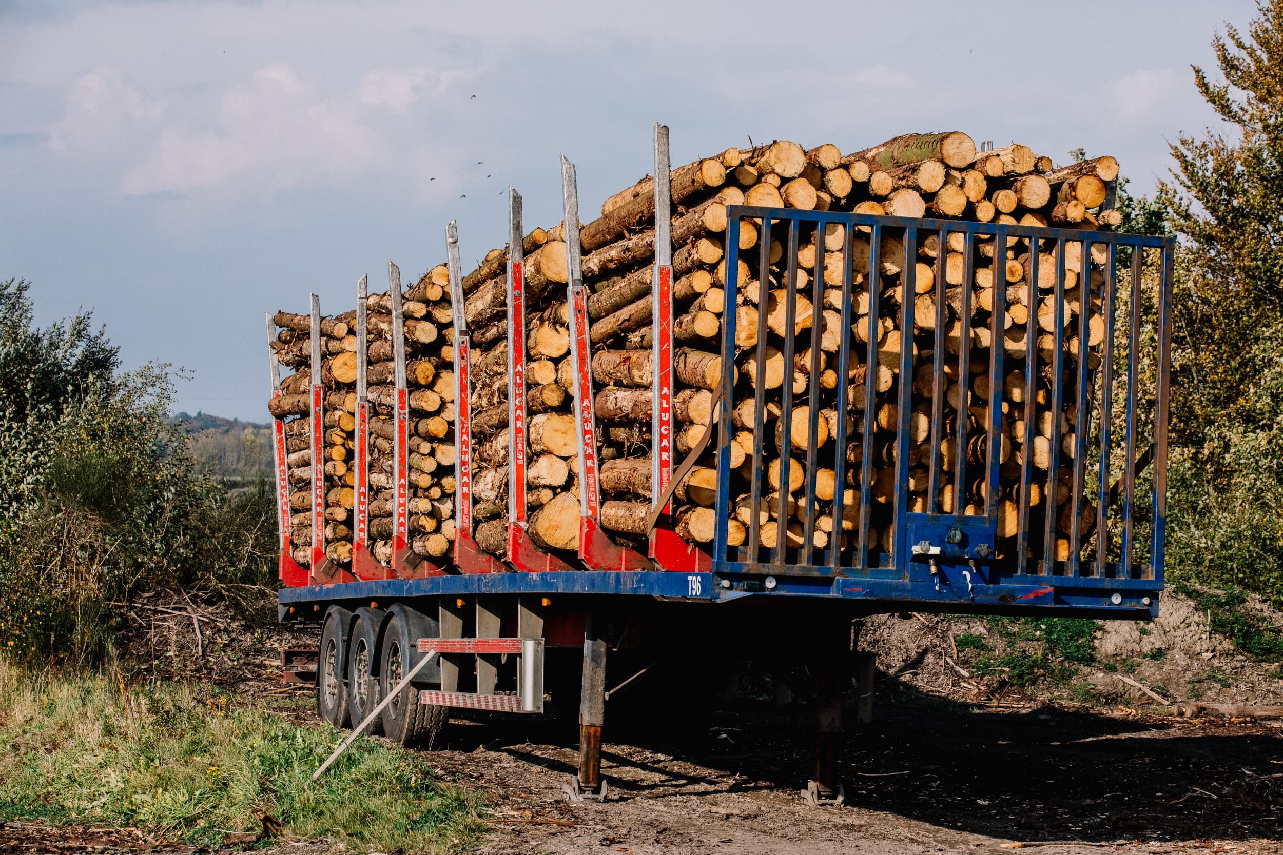 Self-Employed Forestry Venture Financed