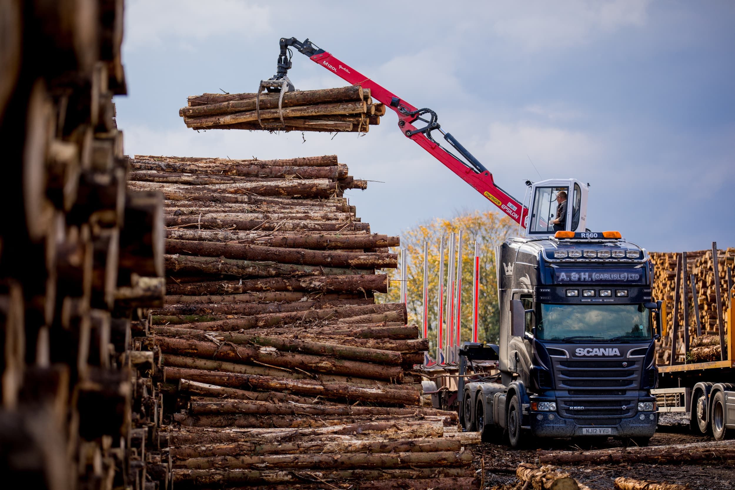 Self-Employed Forestry Venture Financed