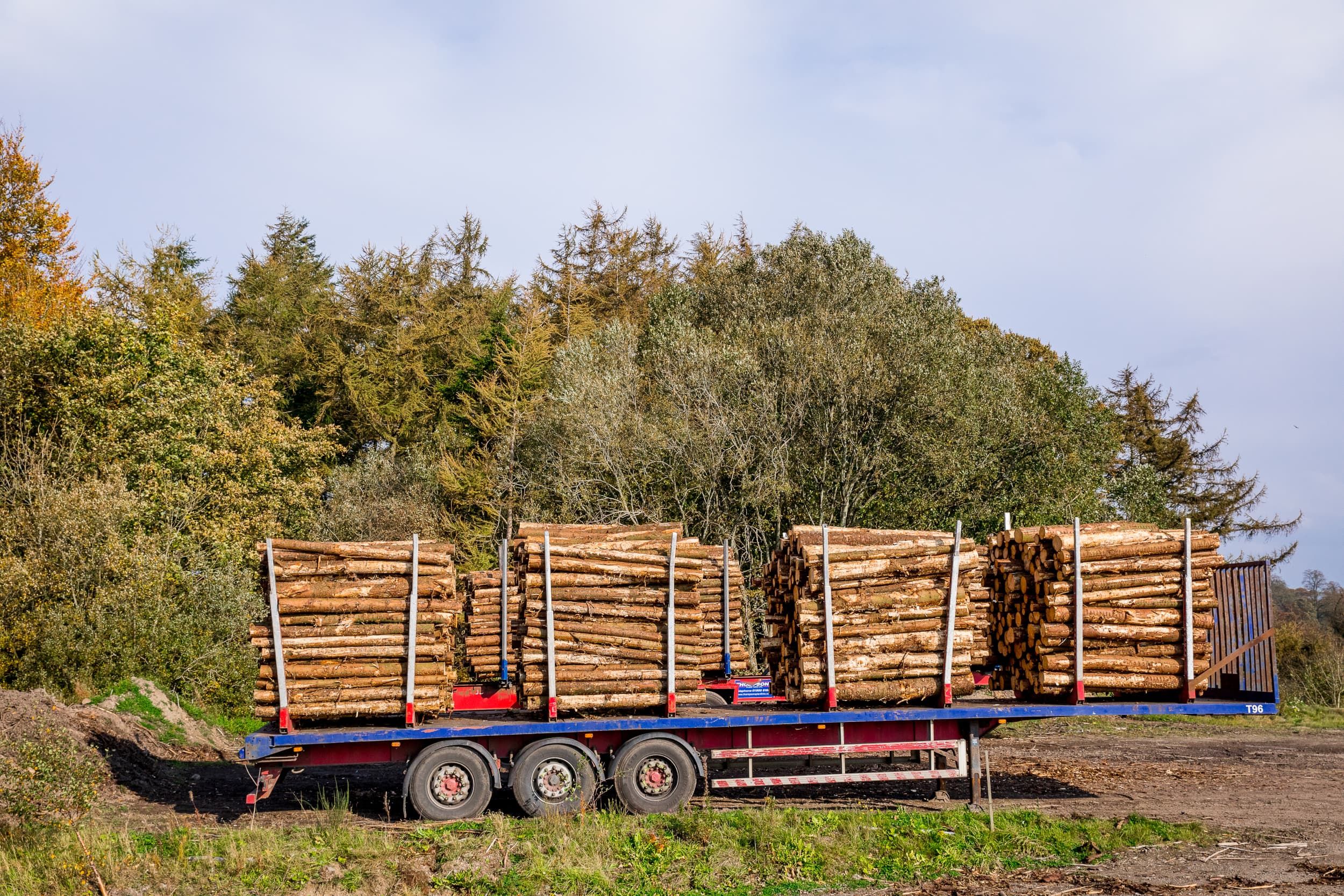 Self-Employed Forestry Venture Financed